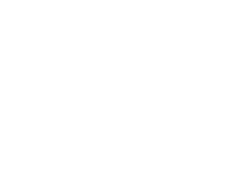 Servicio de Courier Internacional